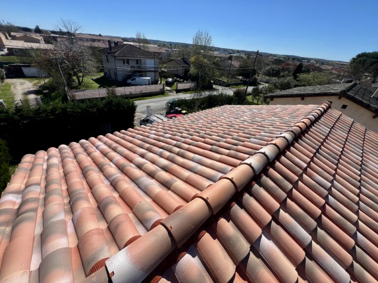 Remplacement de tuiles sur une toiture traditionnelle